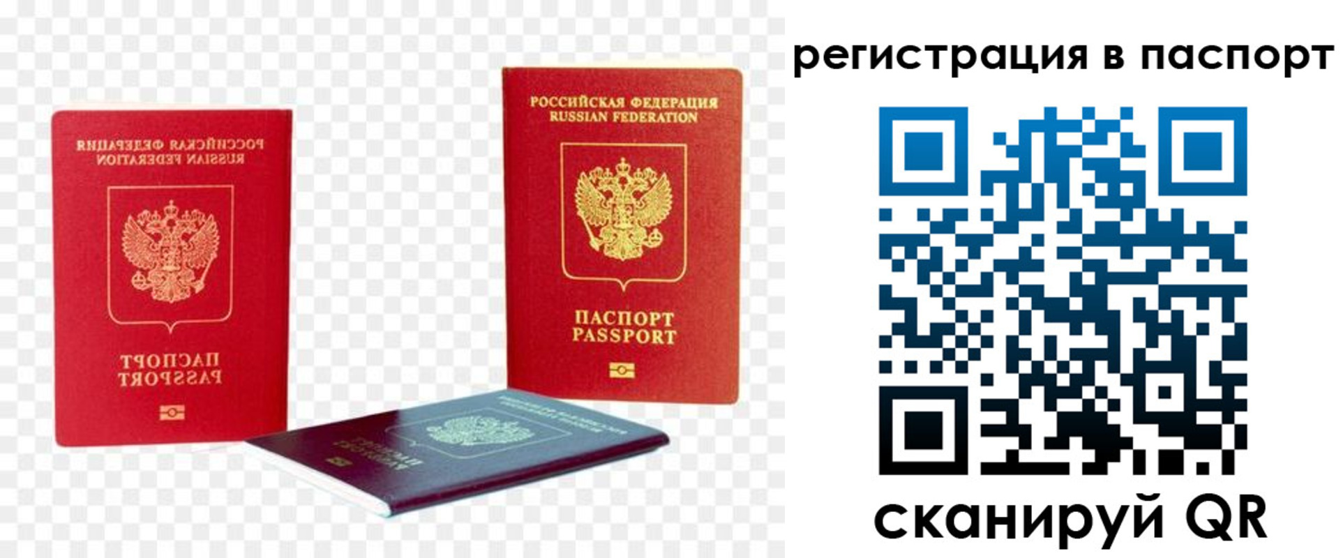 прописка от собственника в Мончегорске