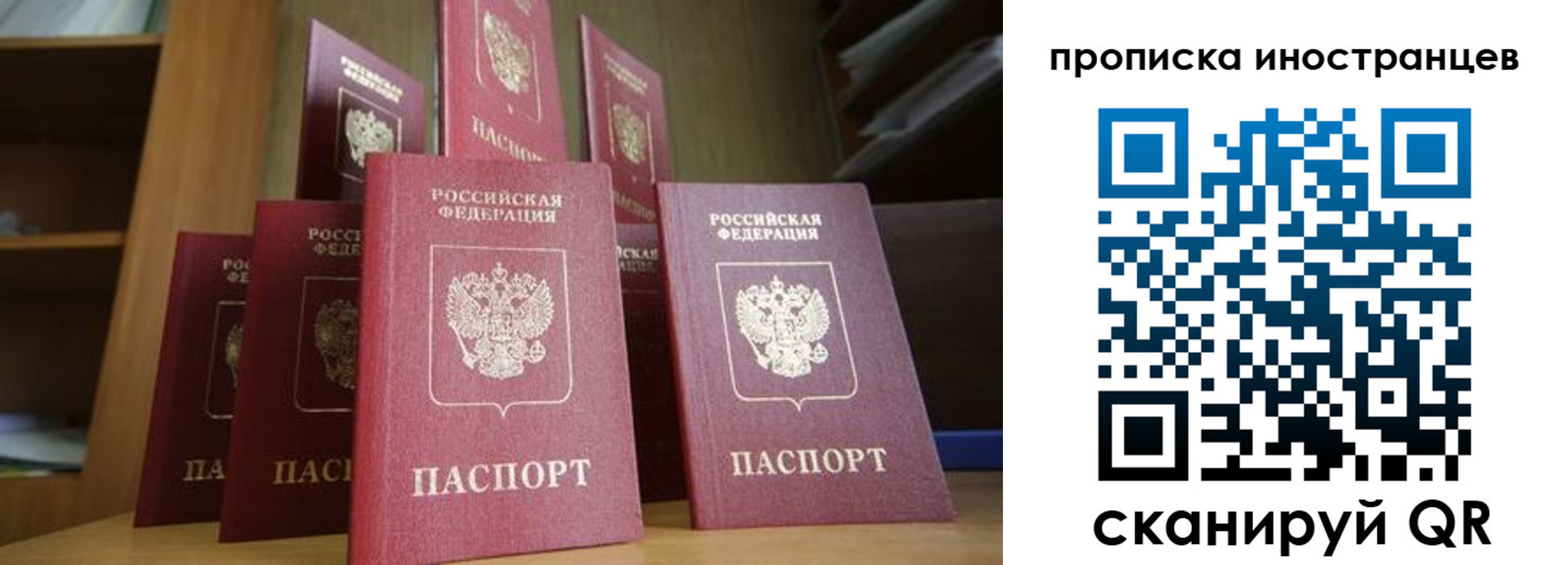 временная прописка в Мончегорске